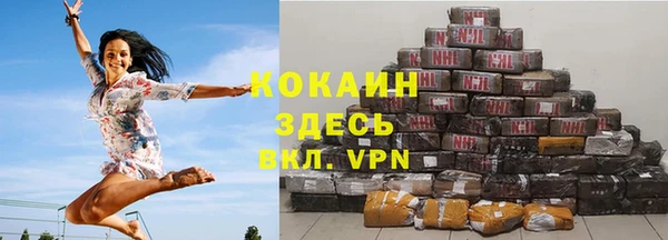 дживик Абаза