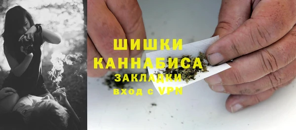 дживик Абаза