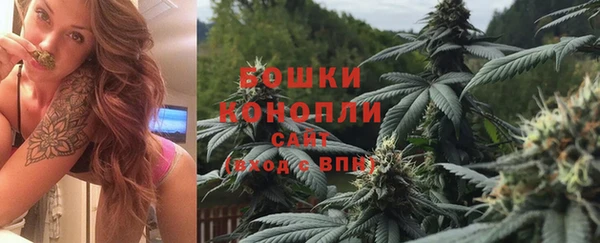 стафф Надым