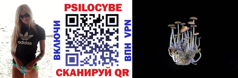 наркошоп Рязань Псилоцибиновые грибы мицелий